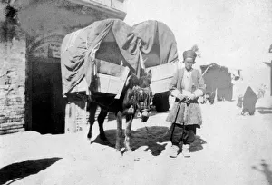 Pannier Prints: Persian donkey transport, Baghdad, Iraq, 1917-1919