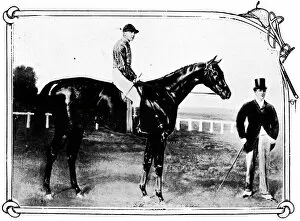 Horses Gallery: Persimmon, 1911