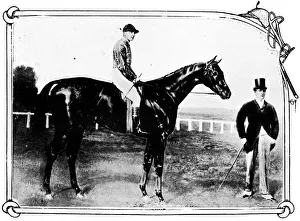 Prince Of Wales Collection: Persimmon, 1911