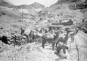 Peru Scenes, 1912. Creator: Harris & Ewing. Peru Scenes, 1912. Creator: Harris & Ewing
