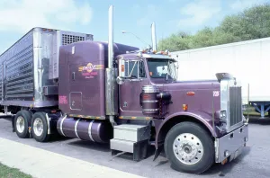 Truck Prints: Peterbilt truck