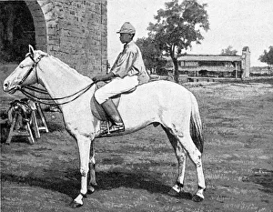 Malian Prints: Un petit noir de Bamako sur le cheval Oualata de race indigene; L'Ouest Africain