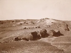 In the Petrified Forest (General View, Middle Park), c. 1895-1897. Creator: Vroman, A. C