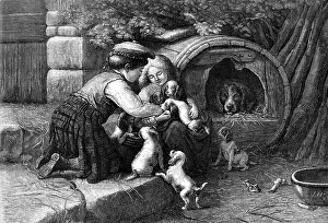 William Hollidge Prints: Amongst the Pets, by J. W. Bottomley