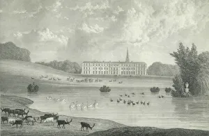 Swan Prints: Petworth Park, 1835. Creators: Unknown, William Westall