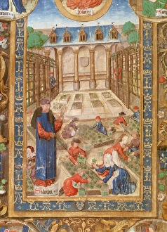 Images Dated 20th November 2006: Pharmaceutical garden, 15th century