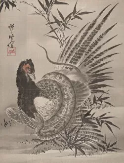 Snake Collection: Pheasant Caught by a Snake, ca. 1887. Creator: Kawanabe Kyosai