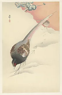 Landscapeanimals And Birds Prints: Pheasant couple in the snow, 1925-1936. Creator: Ohara, Koson (1877-1945)