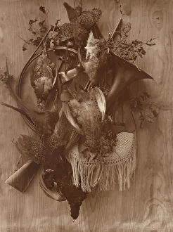 Braun Gallery: Pheasant and Grouse, ca. 1865. Creator: Adolphe Braun
