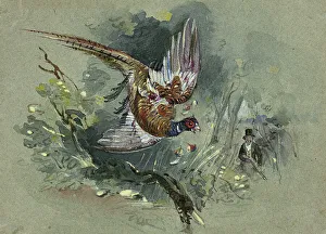 Pheasant Prints: Pheasant and Hunter, 1825-1877. Creator: Charles B Newhouse