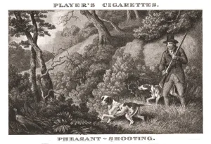 'Pheasant-Shooting', (1924). Creator: Unknown 'Pheasant-Shooting', (1924). Creator: Unknown