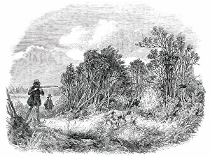 Pheasant Prints: Pheasant-Shooting - drawn by Duncan, 1850. Creator: Unknown