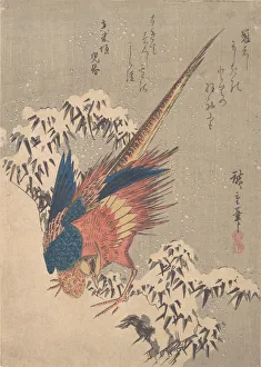 Pheasant Among Snow-laden Bamboo on Hillside, ca. 1840. ca. 1840. Creator: Ando Hiroshige