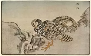Dutton Gallery: Pheasants, 1789, (1924). Creator: Kitao Masayoshi
