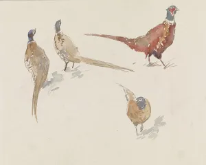 Pheasant Prints: Four pheasants, 1864-1936. Creator: Johannes Cornelis van Essen