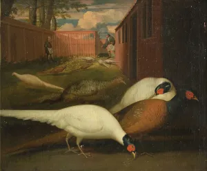 Pheasant Prints: Pheasants in a pen, 1749-1848. Creator: Unknown