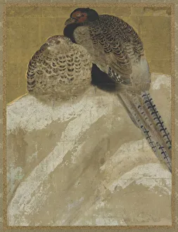 Kakemono Gallery: Two pheasants on a snow bank, Momoyama period, (18th century?). Creator: Unknown