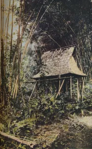 Geographical Magazine Prints: Philippine Islands, c1930s