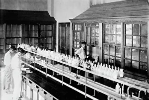 Laboratory Assistant Prints: Philippines, 1912. Creator: Harris & Ewing. Philippines, 1912. Creator: Harris & Ewing