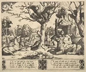 Raffaello Urbino Collection: A phoenix sat atop a tree, wings open, an assortment of animals below, 1530-60