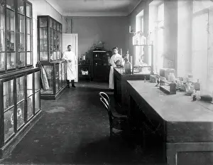 Laboratory Prints: A physiology laboratory, either at the Institute of Experimental Medicine or at the Imperial