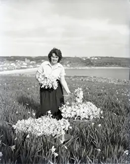 Ocean Prints: Picking flowers, St Mary's