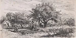Jacque Prints: Picking fruit from tree outside cottage, ca. 1852. Creator: Charles Emile Jacque