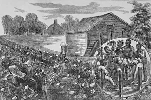 American South Prints: Picking and weighing cotton, 1872. Creator: Unknown