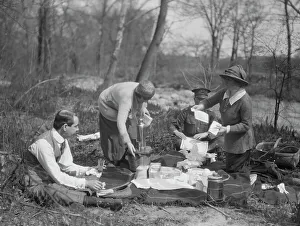 Organised Prints: Picnic with Martha Hedman and friends, between 1912 and 1919. Creator: Arnold Genthe