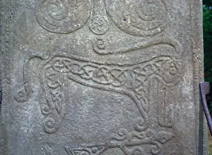 Detail of a Pictish carved stone showing the Pictish Beast symbol, 6th century Detail of a Pictish carved stone showing the Pictish Beast symbol, 6th century