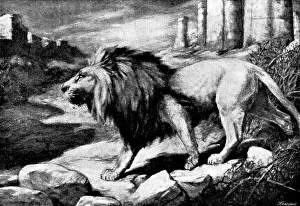 Pictures from the New Gallery: Lord of the City - Harry Dixon, 1895. Creator: George Meisenbach
