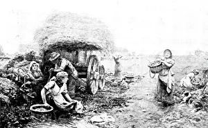 John V Prints: Pictures from the New Gallery: Potato Harvest