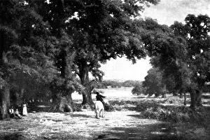 Pictures Prints: Pictures from the Royal Academy: Through The Forest - C