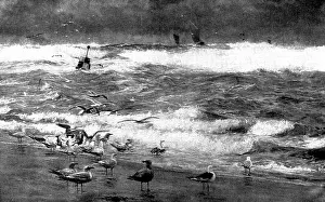 Laridae Prints: Pictures from the Royal Academy: The Harbour Bar - W