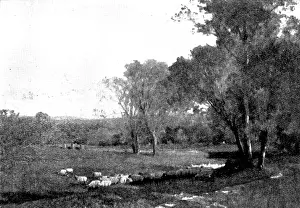 Pictures from the Royal Academy: Midland Meadows - A. East, 1895. Creator: George Meisenbach
