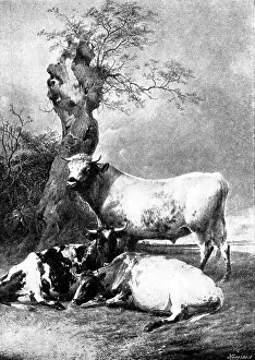 Georg Meisenbach And Co Prints: Pictures from the Royal Academy: Repose - T