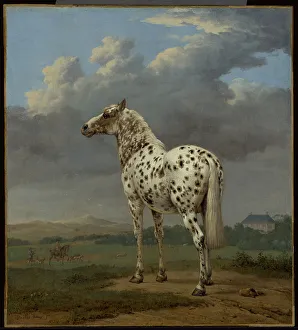 Stormclouds Prints: The Piebald Horse, about 1650-1654. Creator: Paulus Potter