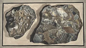 Sulphur Prints: Piece of marble composed of fragments of various sorts of marble found in the Fossa Grande