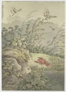 Piece of water with crab, butterflies, dragonflies and sea-buckthorn, c. 1800. Creator: Zingg