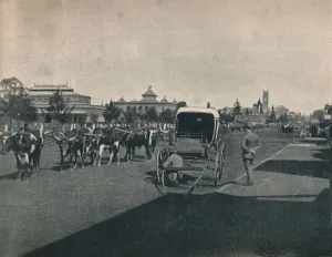 Charles Lang Neil Gallery: Pietermaritzburg, c1900. Creator: Unknown