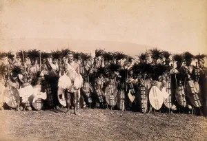 Kwazulu Natal Prints: Pietermaritzburg, South Africa: African warriors preparing to dance