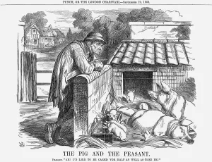 Piglet Prints: The Pig and The Peasant, 1863. Artist: John Tenniel