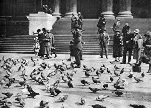 London Landmarks Collection: Pigeons in Trafalgar Square, London, 1926-1927