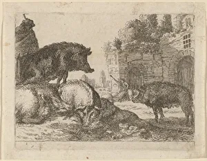 Pigs Prints: Pigs. Creator: Herman van Swanevelt
