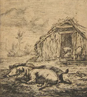 Charles Meryon Gallery: Three Pigs Lying in Front of a Shed, 1850. Creator: Charles Meryon