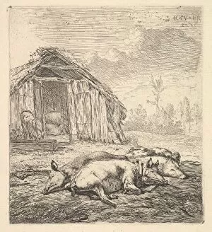 Three pigs lying on their sides, a pigsty and trough beyond, 1652