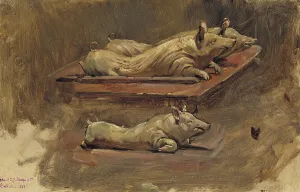 Pigs Prints: Pigs. Study for During Fasting Time, 1884. Creator: Carl Gustaf Hellqvist