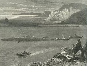 Local Industry Gallery: Pilchard Fishing off the Lizard, c1870