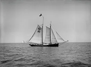 Activity Prints: Pilot boat no. 2, between 1900 and 1905. Creator: Unknown