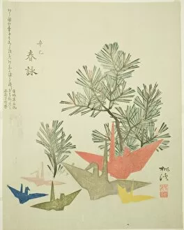 Crane Gallery: Pine Branches and Paper Cranes, c. 1821. Creator: Niwa Tokei
